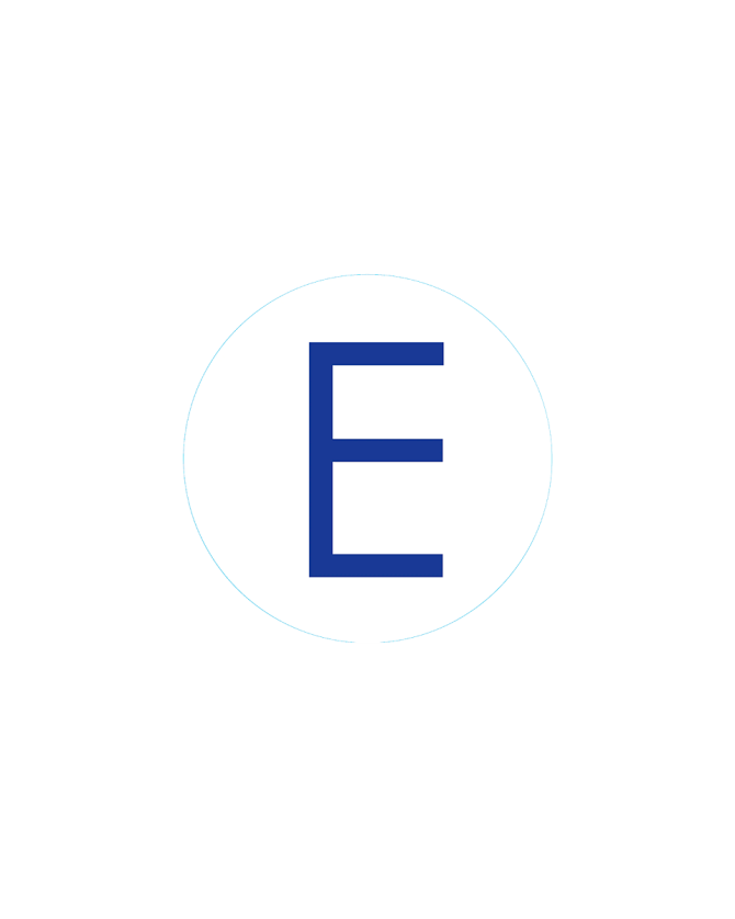 Bogg Bit - Initial "E"